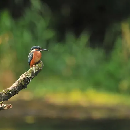 Σπίτι διακοπών Le Moulin L'eveque