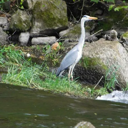 Le Moulin L'eveque Hébergement de vacances