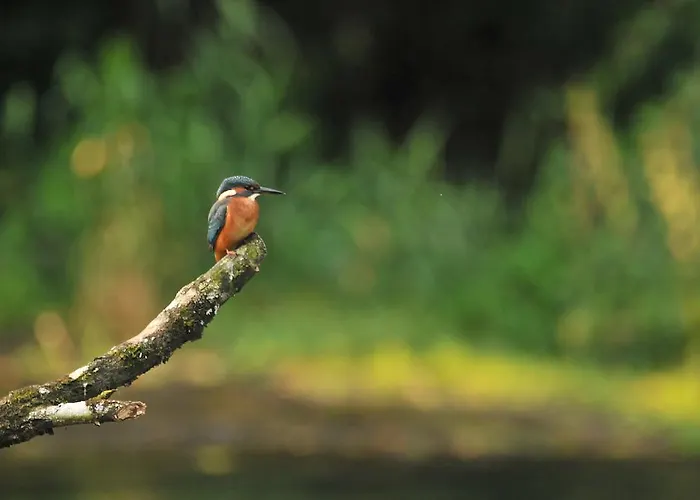 بيت للعطل Le Moulin L'eveque